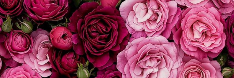 ___MariahL's profile banner image