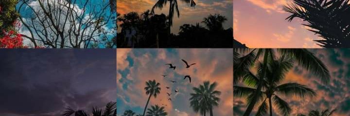 Muhammad Atif banner