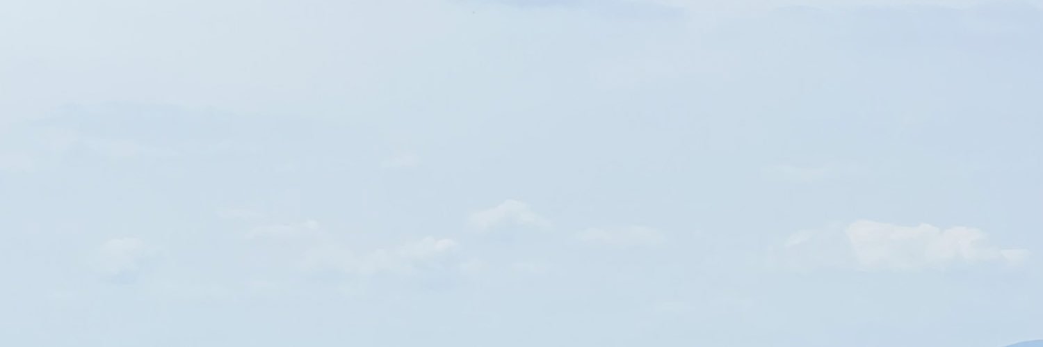 wa banner