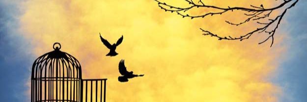 jessvel12's profile banner image