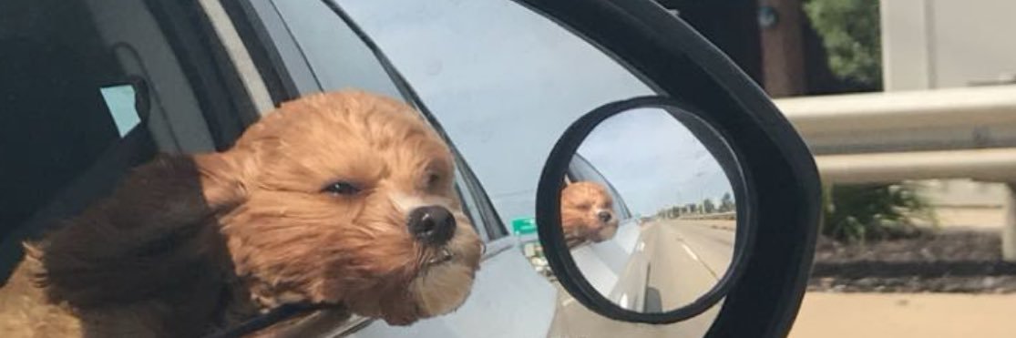 RealKyleSmith's profile banner image