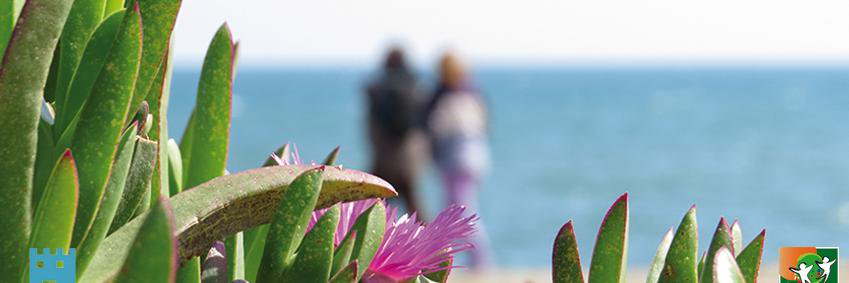 Torreilles_66's profile banner image