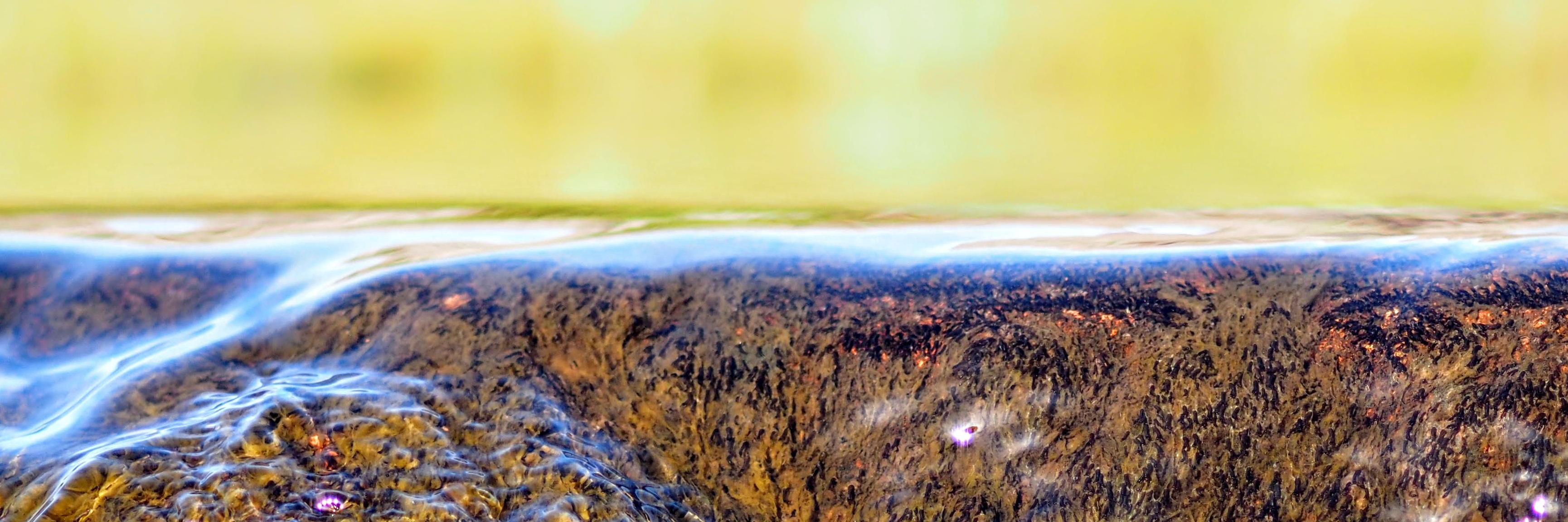 njberland's profile banner image