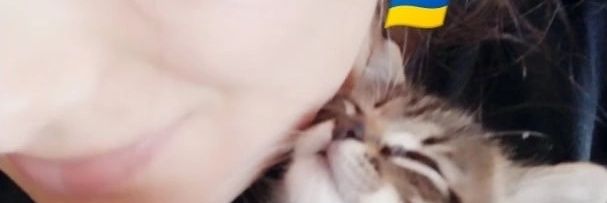 Netalie27's profile banner image
