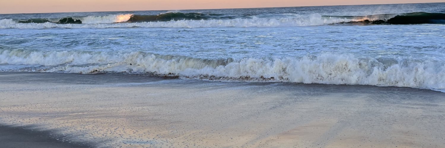 NicoleMFallon's profile banner image