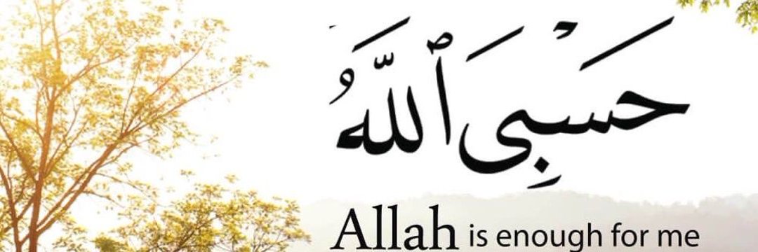 𝓗𝓾𝓶𝓪🩵's banner