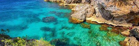 zerostarbitch.com banner