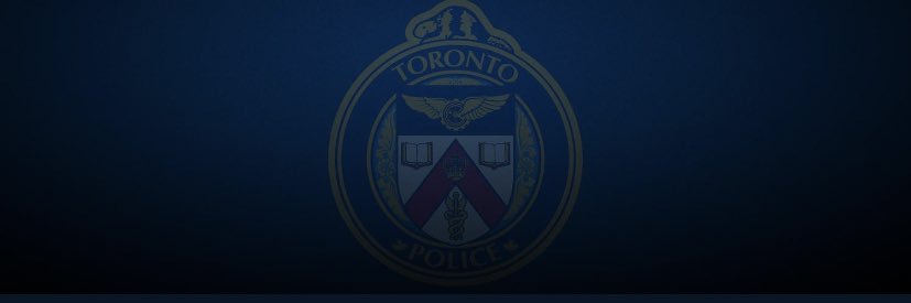 LeeAnn Papizewski banner