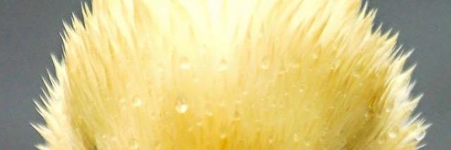 SHA457's profile banner image