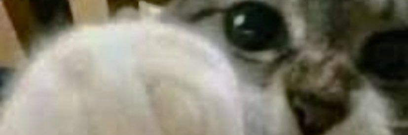 ozanlikekk's profile banner image