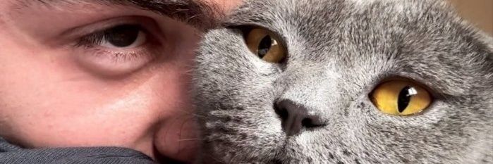 🌻Fortunata🦋 banner