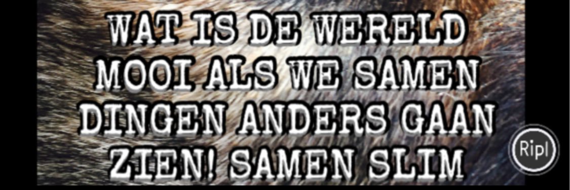 WijDeSchool's profile banner image
