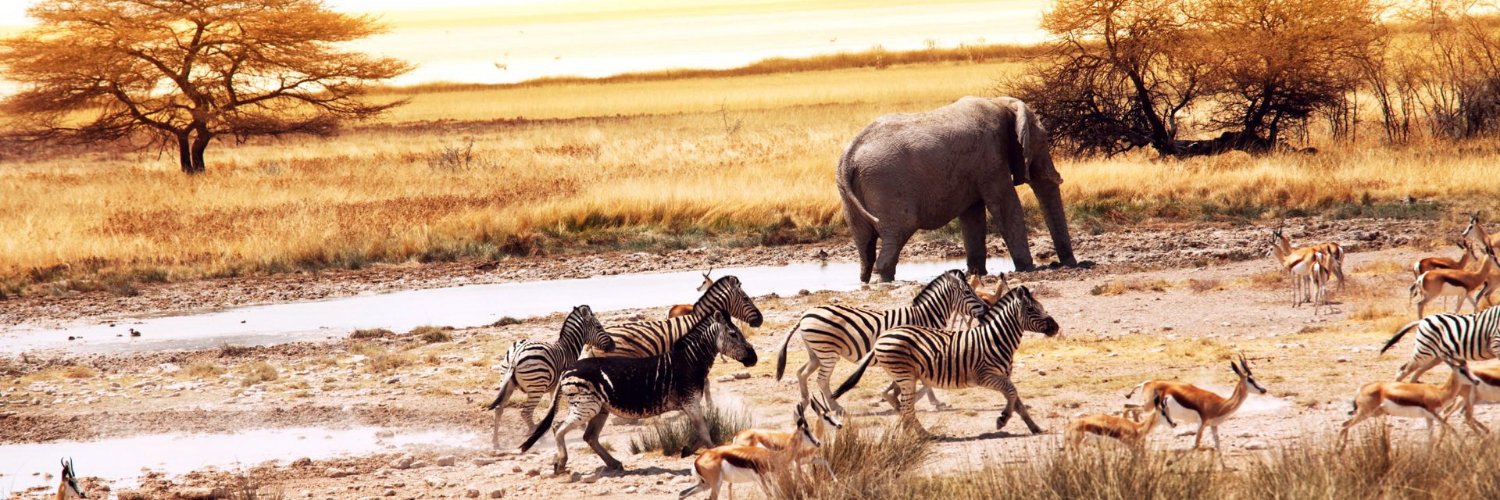 Maxistor (❖,❖) | ETHGas ⛽ banner