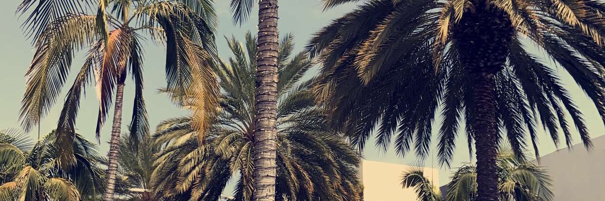 s_darleeen's profile banner image