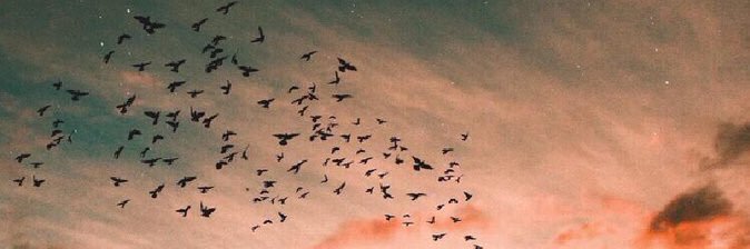 zlaikc's profile banner image