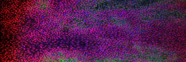 JamieMcGinn3 Profile Banner