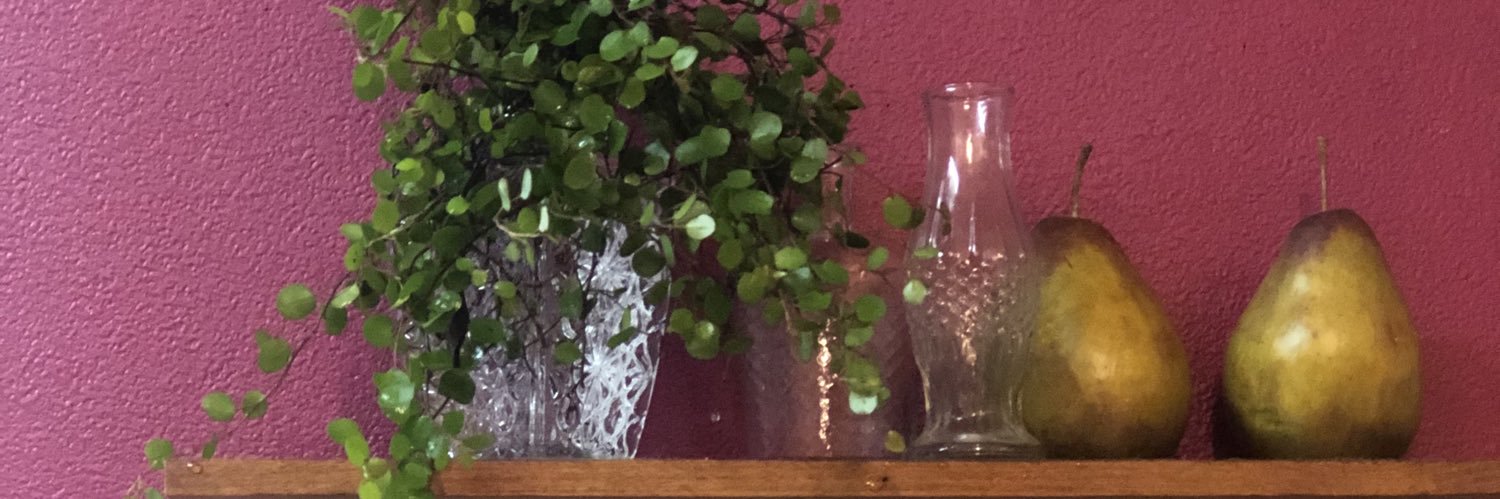 chansonno1's profile banner image
