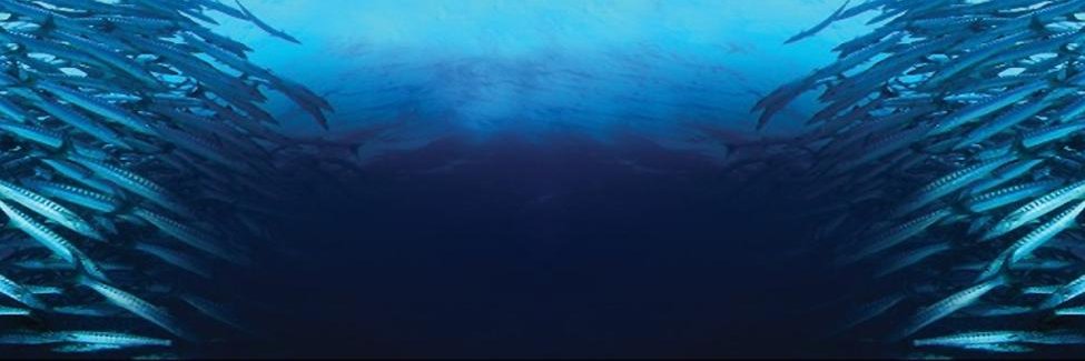 danilopeixe_'s profile banner image