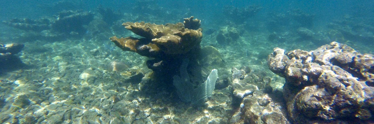 Robert Ferrer banner