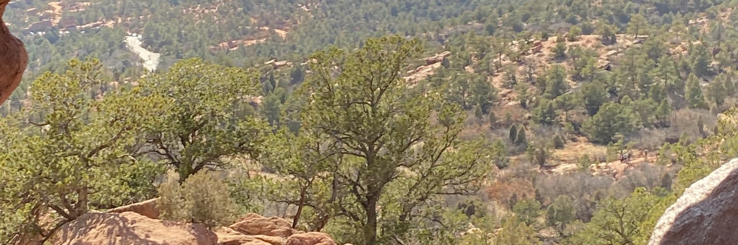 TheRealDanielVogelbach banner