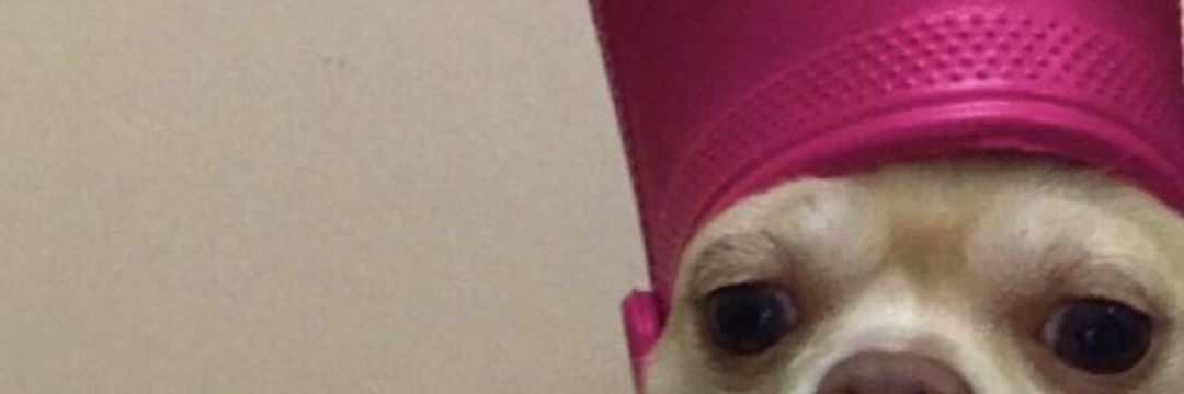 ujburimi's profile banner image