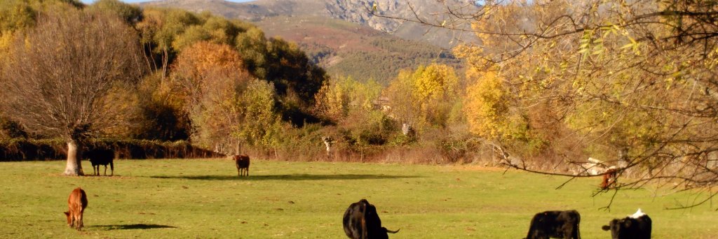 SlowFoodMadrid's profile banner image