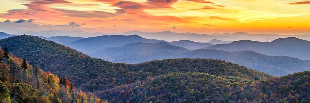 the_talbs's profile banner image
