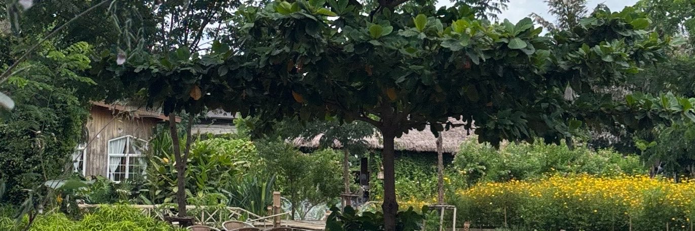 ErelaLao's profile banner image