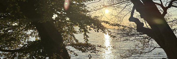 spkaur11 Profile Banner