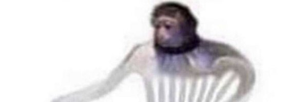 HolyChair Profile Banner