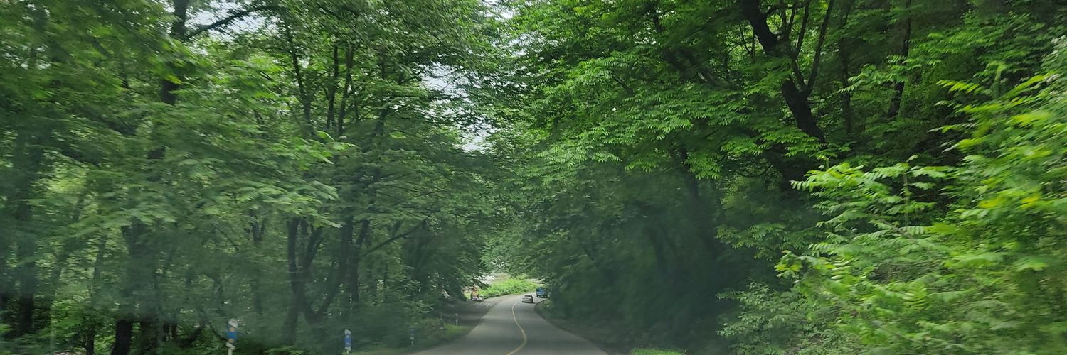 سبحان برکتی's banner