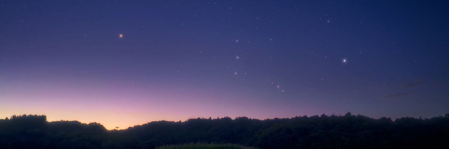 necoanne's profile banner image