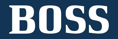 bossdergisi's profile banner image
