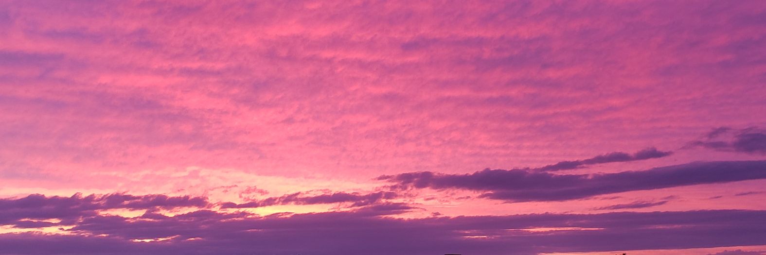 MusicalDreamin's profile banner image