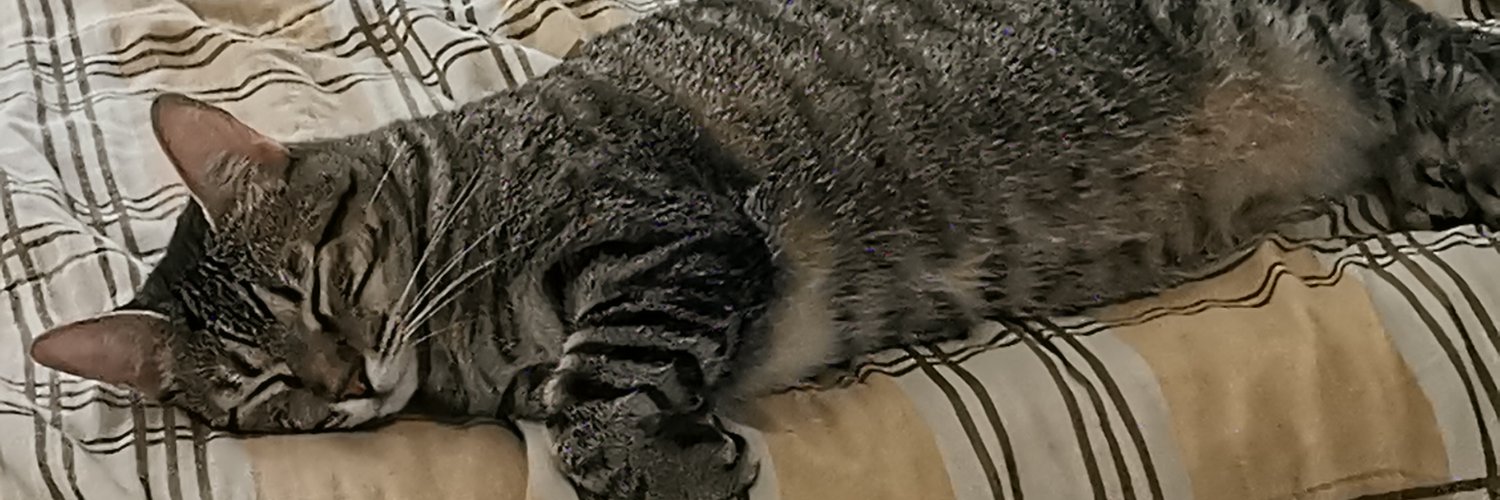 LordRaybel's profile banner image