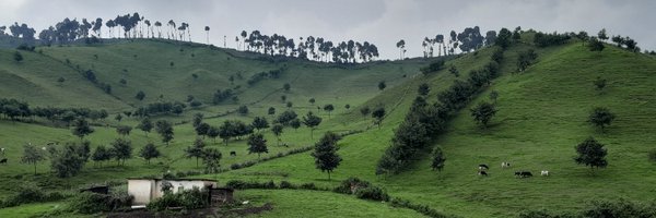 LauraKmoch Profile Banner