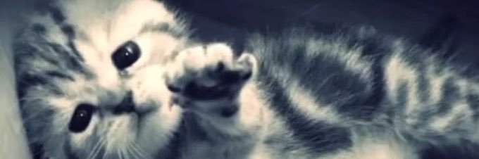 gi banner