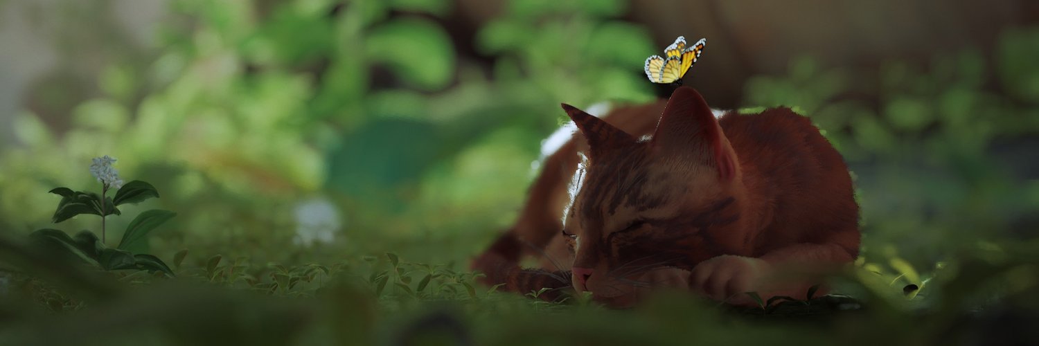 CatisaSG's profile banner image