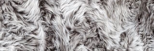 Orianavc11's profile banner image