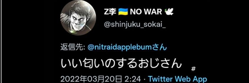 nitraidapplebum's profile banner image