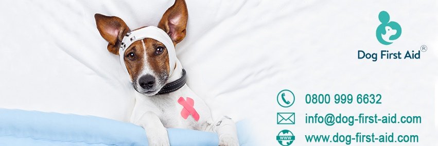 DogFirstAid's profile banner image