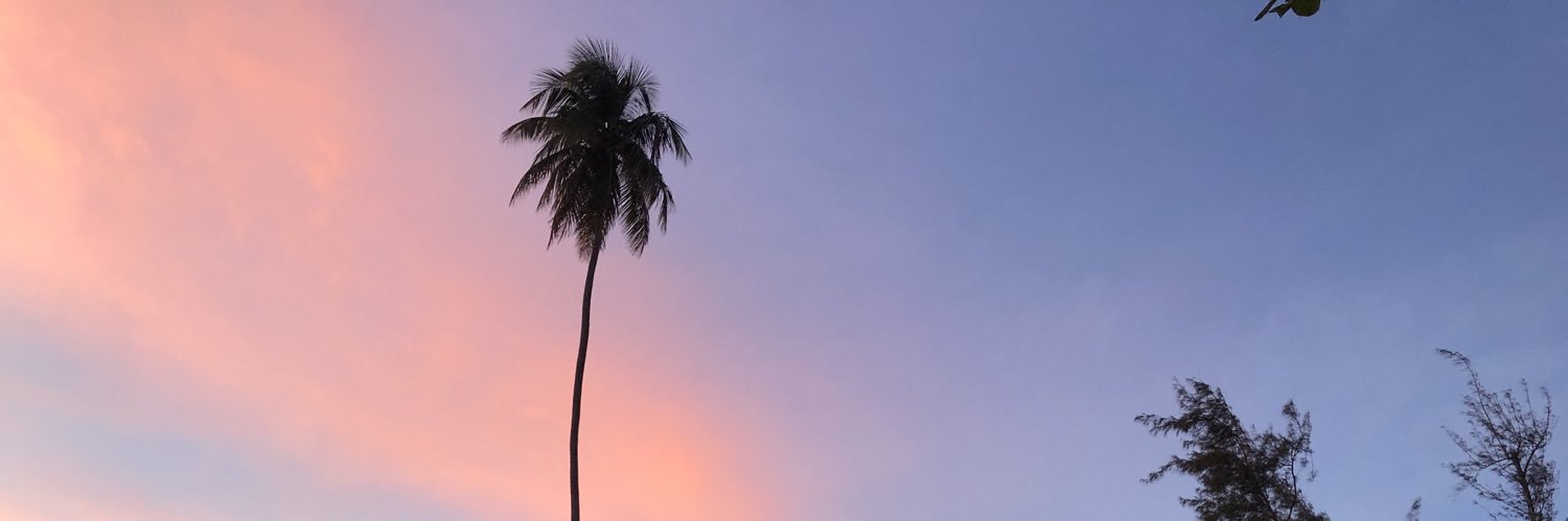 JacksInTheBox's profile banner image