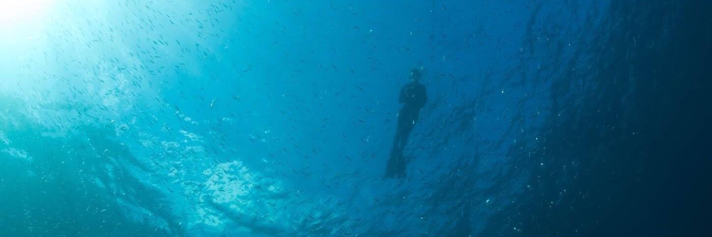 Meg Goldthwaite banner