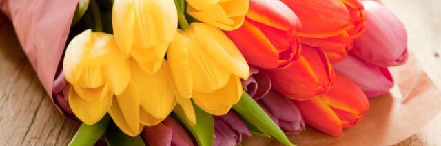 Marcela Isuster banner