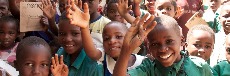 The Mlambe Project banner