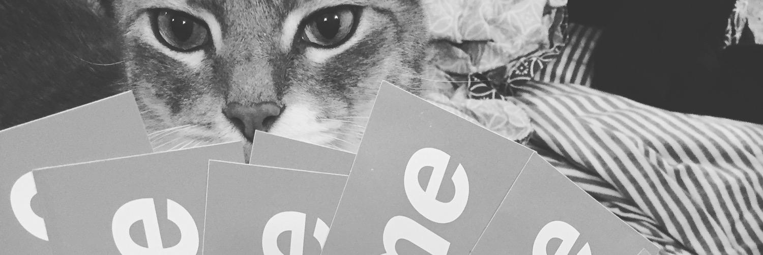 Kicks & Cats banner