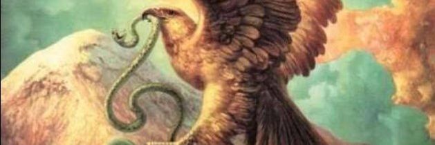 cindhii's profile banner image