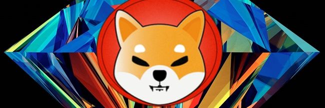 Shiba Inu Co. 🚀 banner