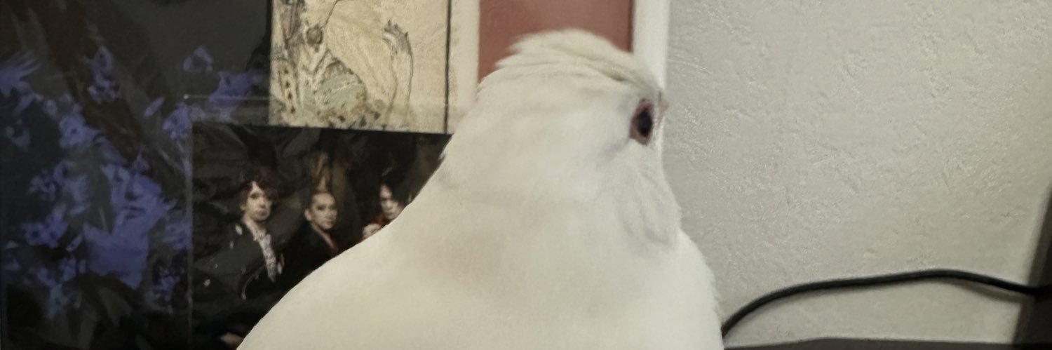 nnp777's profile banner image