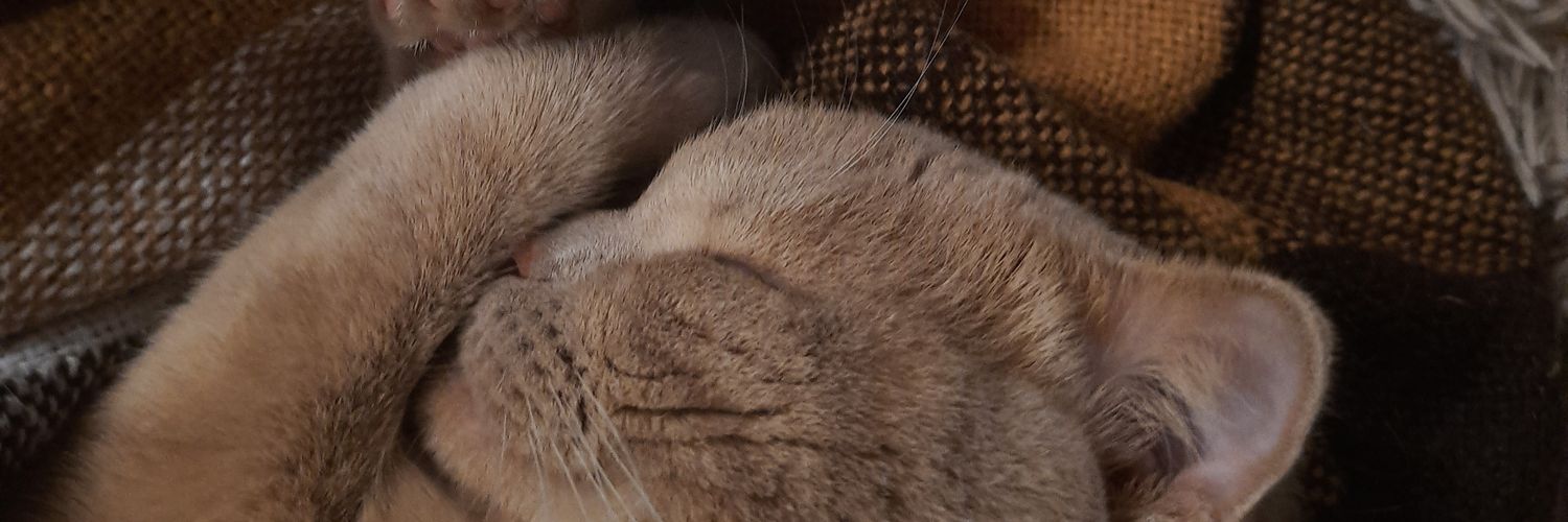 farestothereal's profile banner image